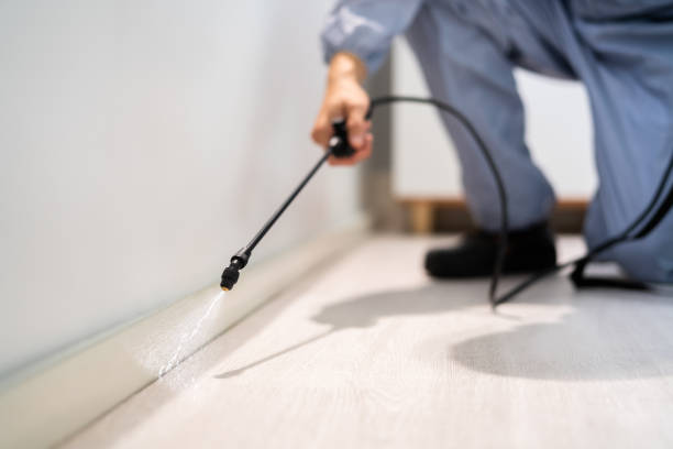 Licensed Termite Control service in Morgantown, MS - Nex Pest Control
