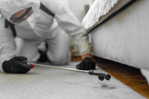 Professional Termite Control technician working in Morgantown, MS