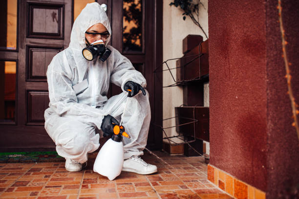 Reliable Termite Control contractor in Morgantown, MS by Nex Pest Control