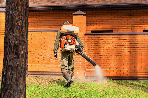 Top rated local Termite Control specialists in Morgantown, MS